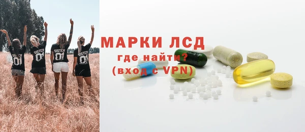 стаф Новозыбков