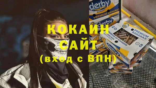 стаф Новозыбков