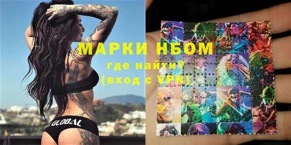 стаф Новозыбков