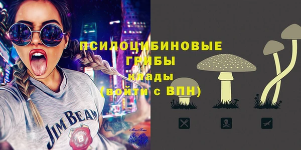 стаф Новозыбков