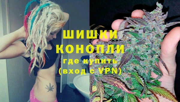 Альфа ПВП Нягань