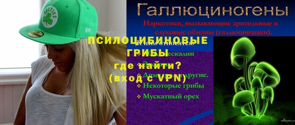 стаф Новозыбков