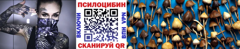Псилоцибиновые грибы GOLDEN TEACHER  МЕГА   Боровск 